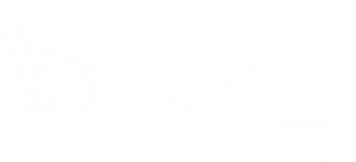 Andarta Pictures Logo