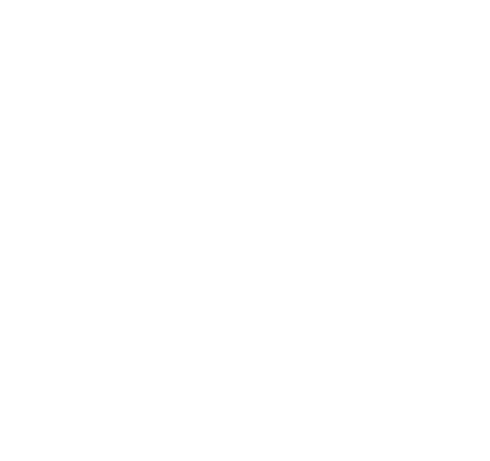 ICS Nordic Logo