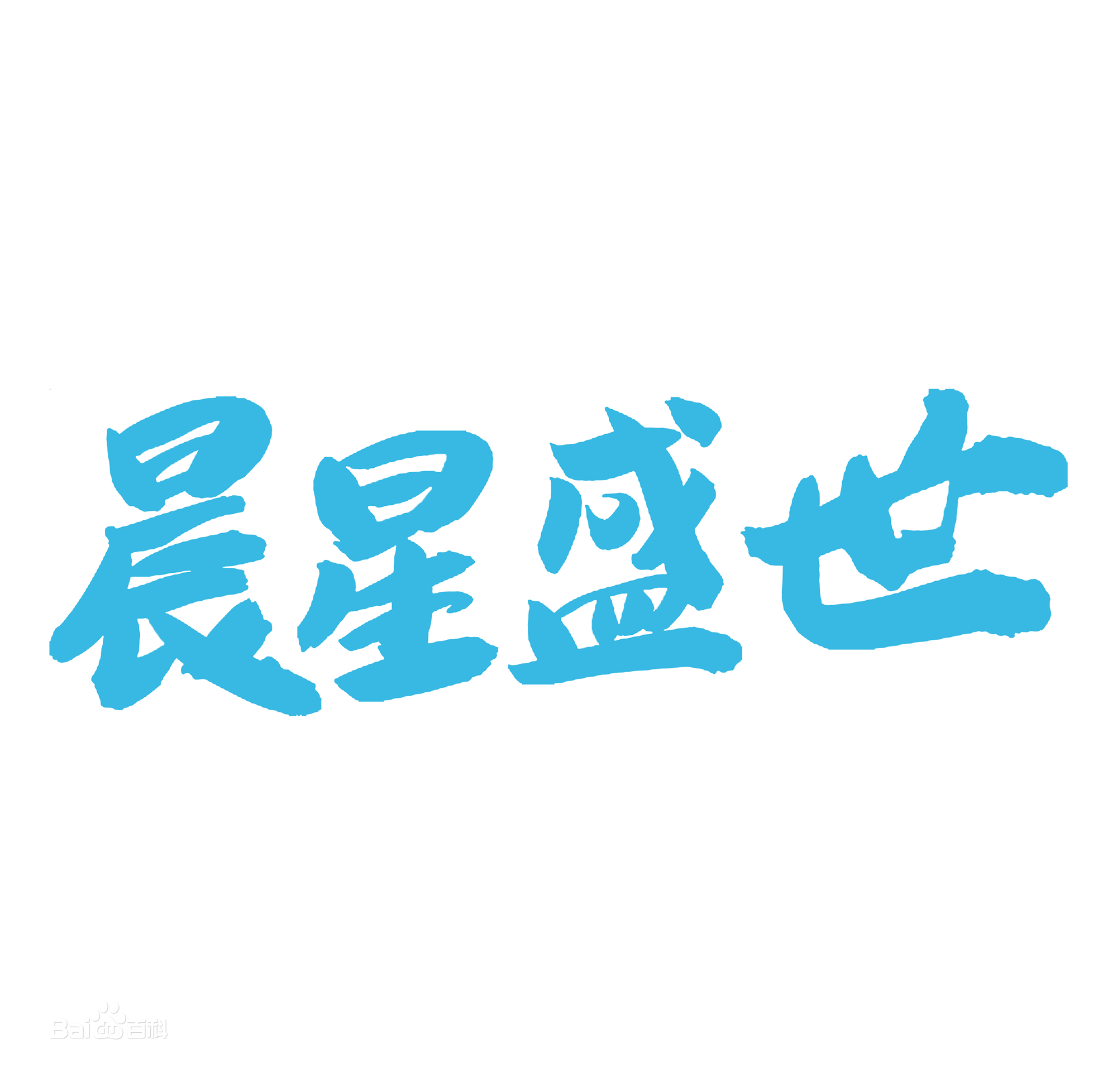 Beijing Chenxing Shengshi Network Culture Logo