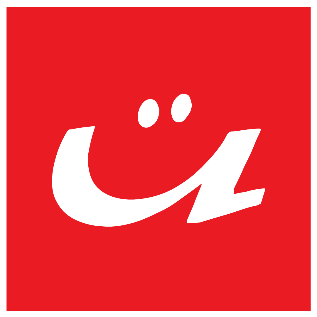 The Animation School Logo
