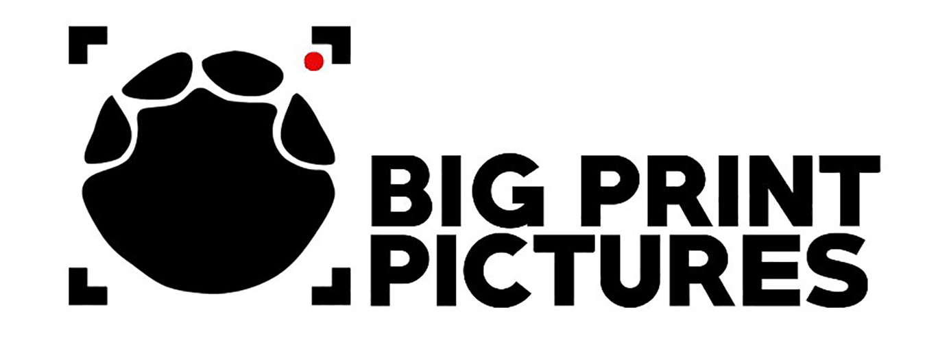 Big Print Pictures Logo