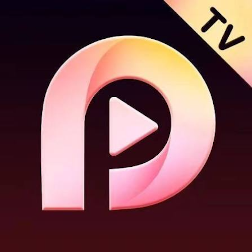 Playlet Logo