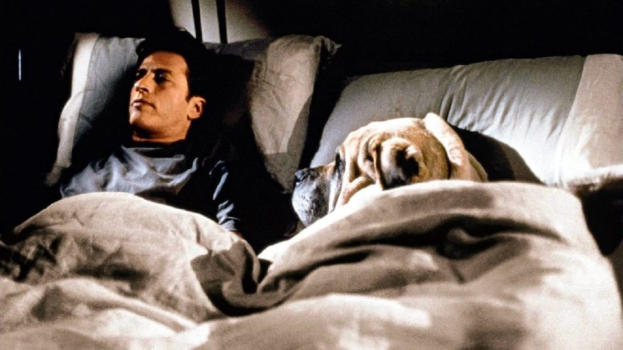 Watch film Playing by Heart | Playing By Heart - Trailer