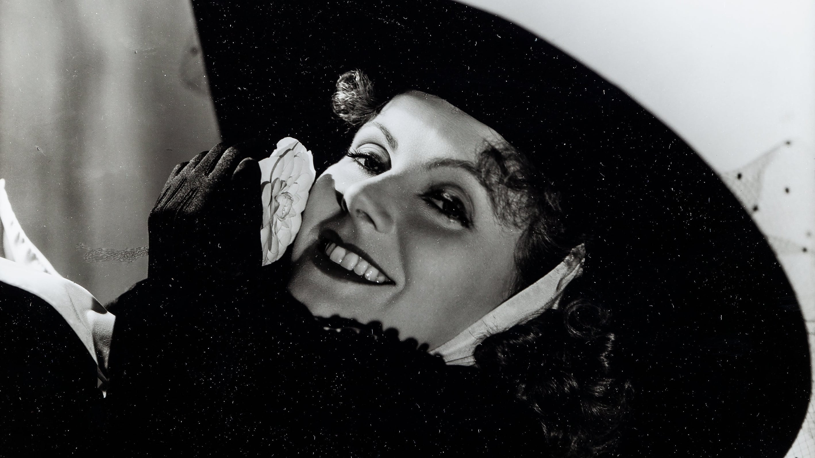 Watch film Camille | Camille - Trailer