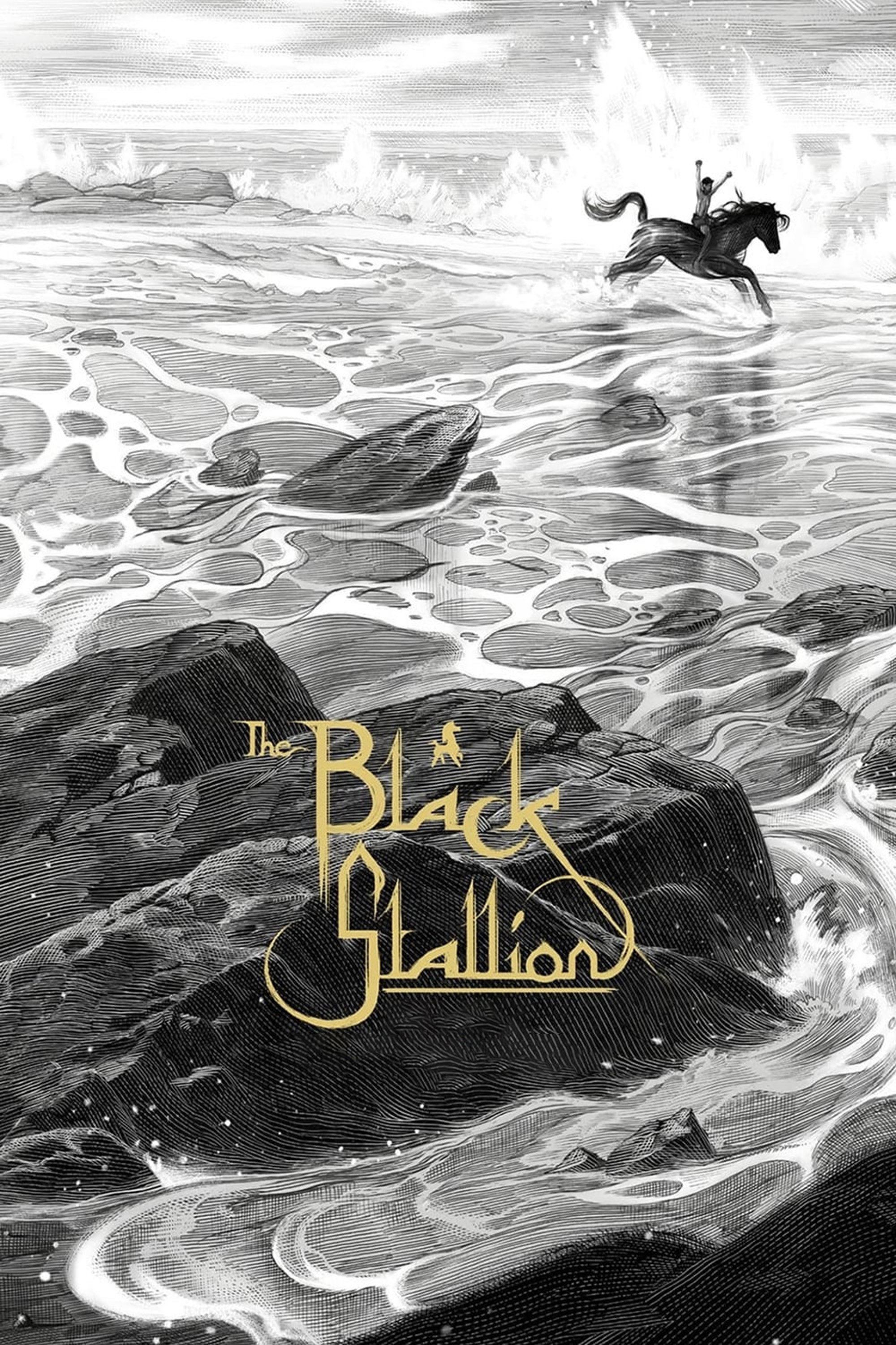 Poster to the movie "The Black Stallion" #1041172
