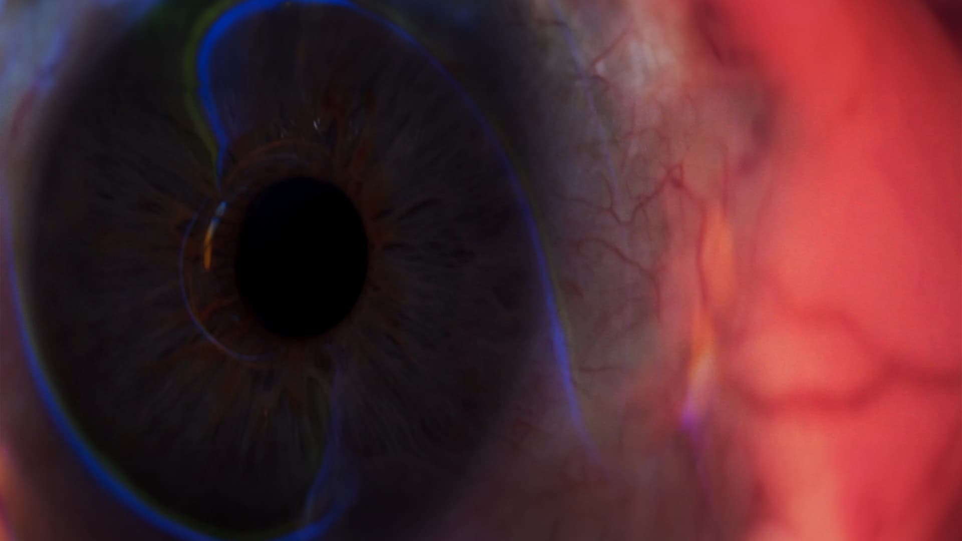 Watch film A Visual Poem | A Visual Poem Official Trailer