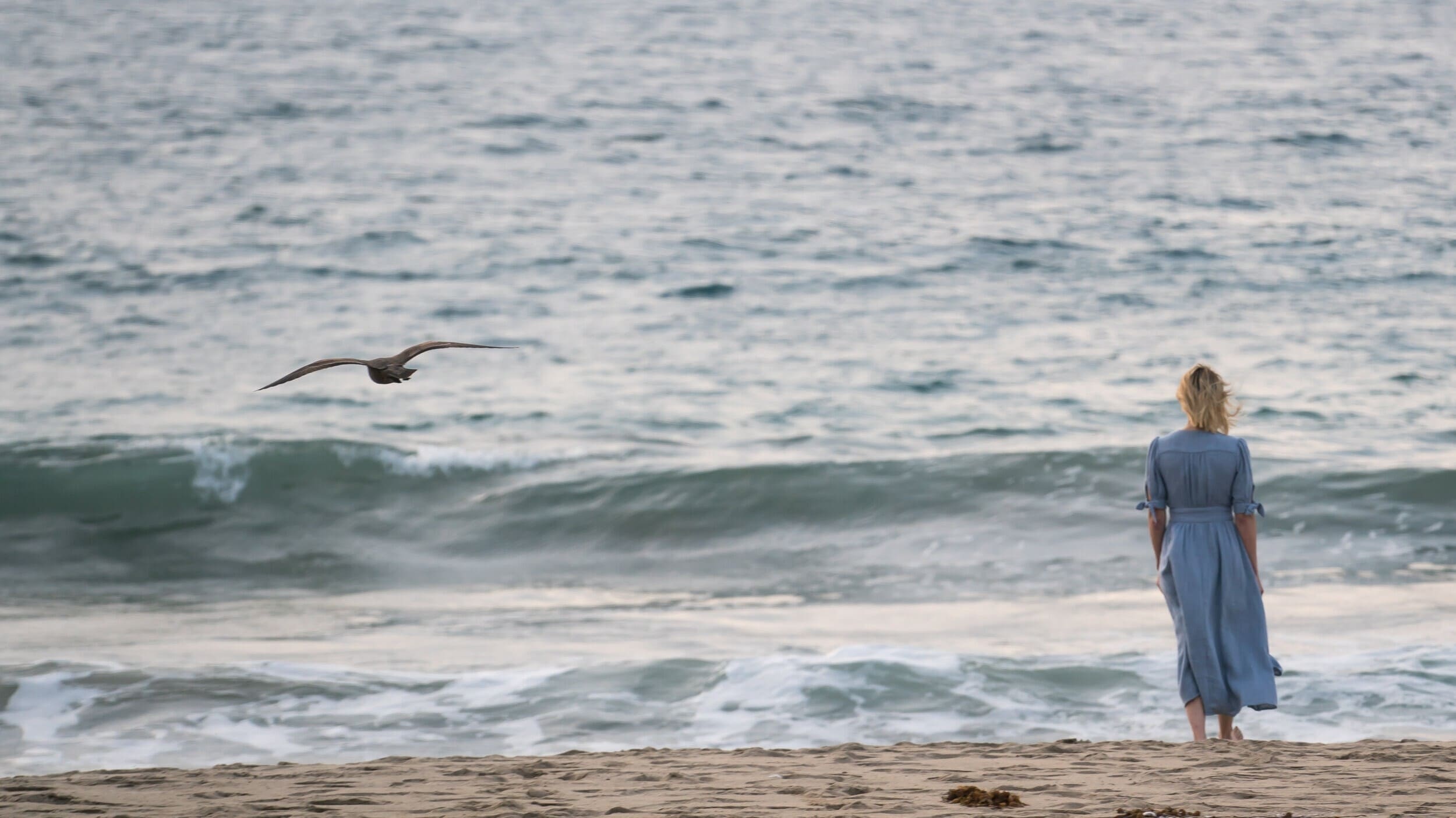 Watch film Lorelei | Lorelei | Official Trailer (HD) | Vertical Entertainment