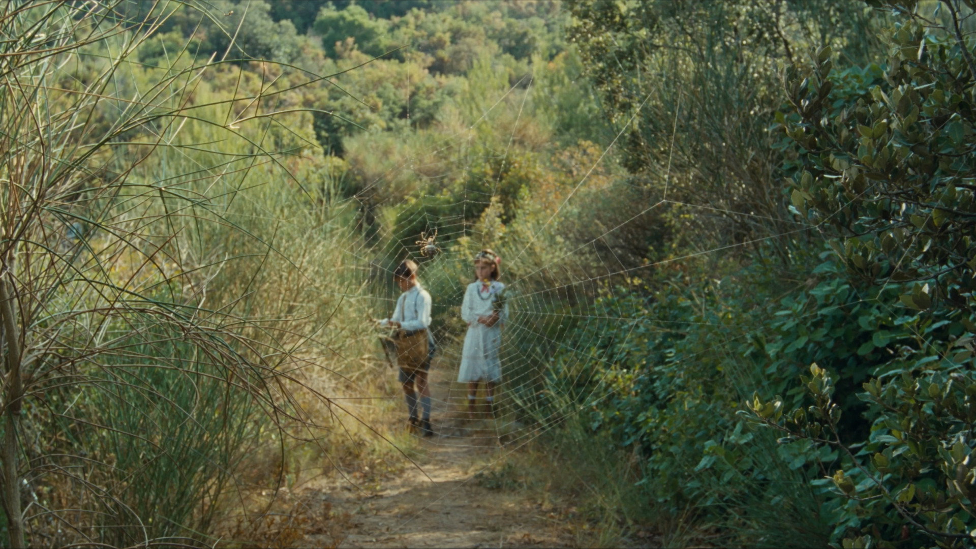 Backdrop to the movie "My Mother