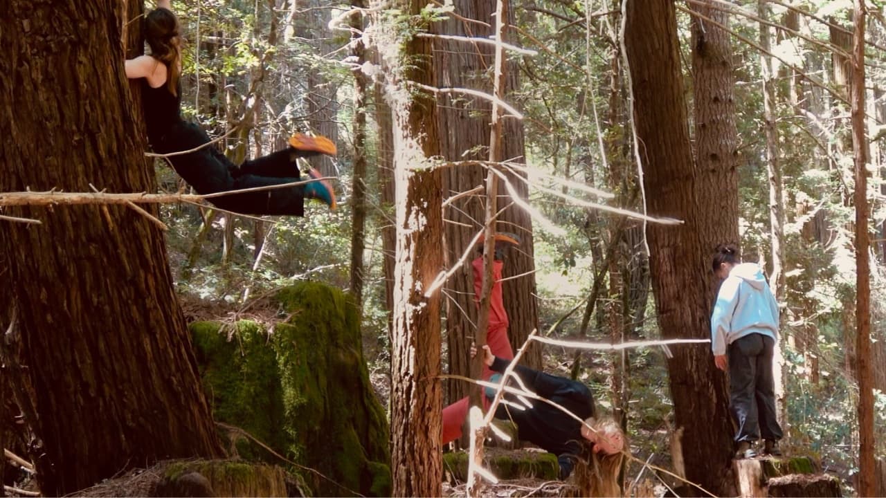 Watch film Panels | TRAILER: panels, a dance ~horror film on grief (2024)