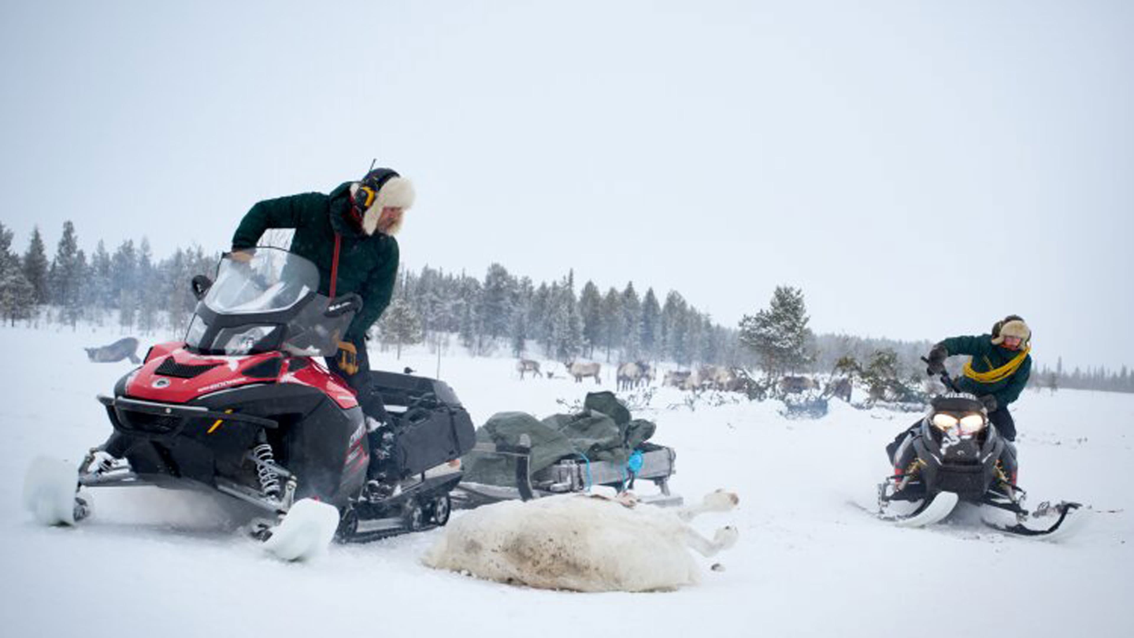 Watch film Stolen | Official Clip [ENG SUB]