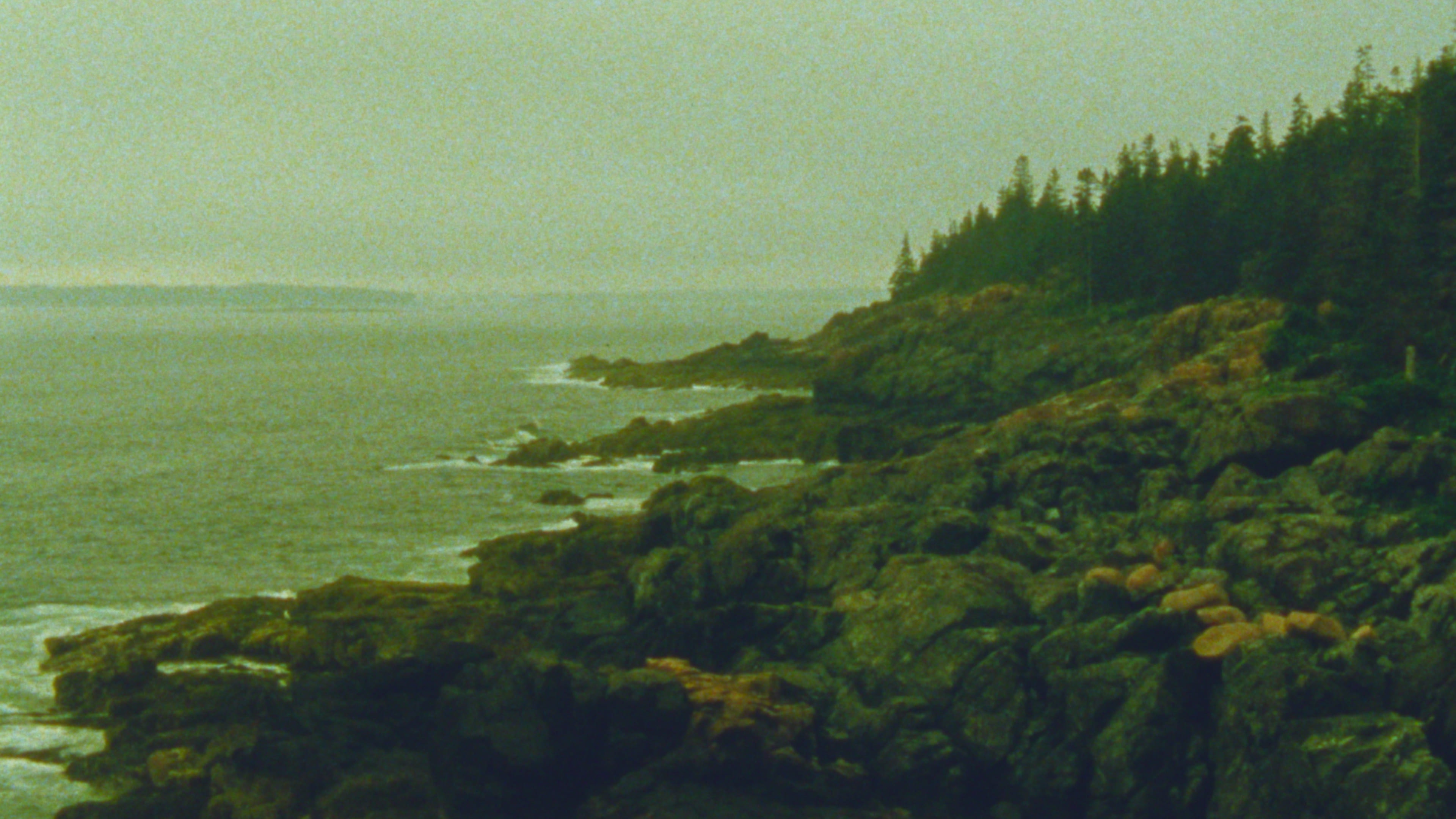 Watch film The Night Country | The Night Country (16mm, trailer)