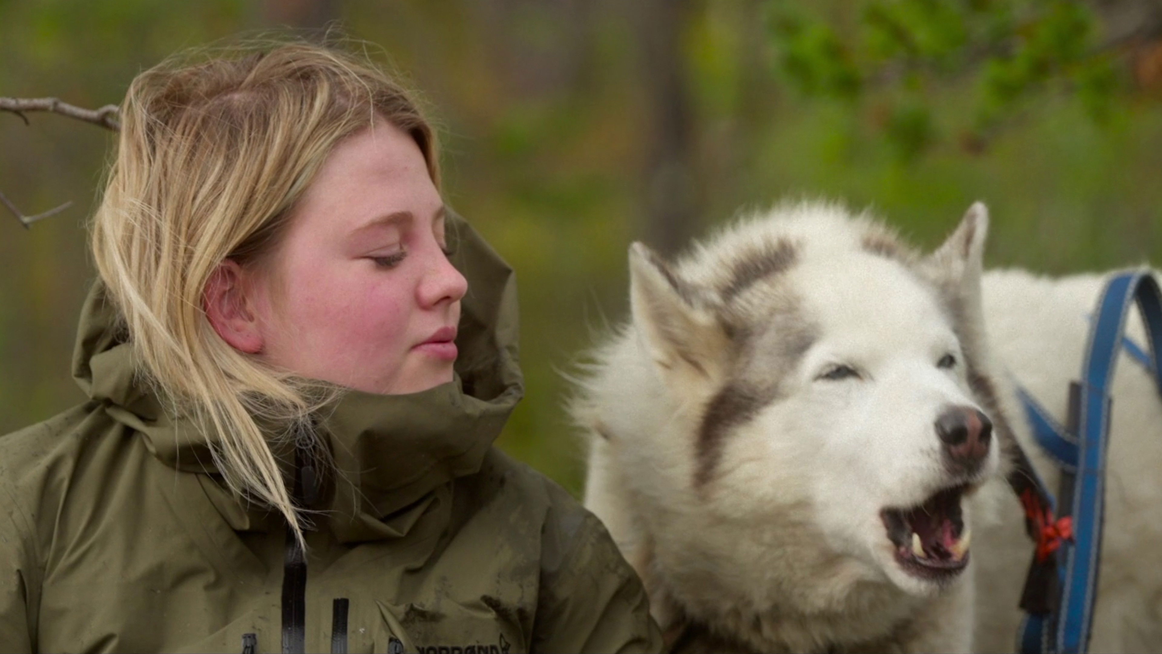 Watch film Folktales | Teens Train Sled Dogs In New Coming Of Age Doc 'Folktales'