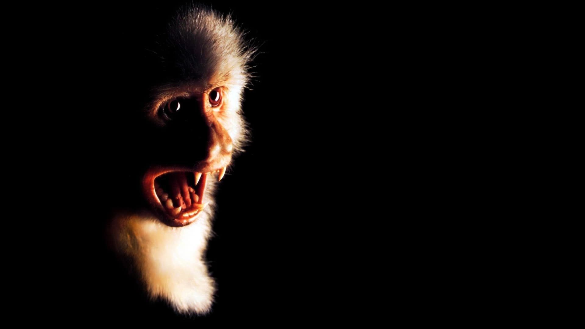 Watch film Outbreak | Outbreak - Trailer