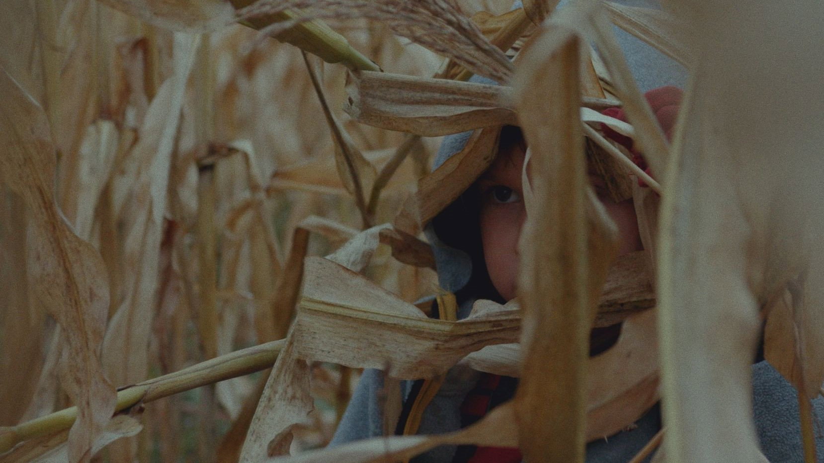 Watch film Forest | Las (Forest) - trailer | 21. Millennium Docs Against Gravity