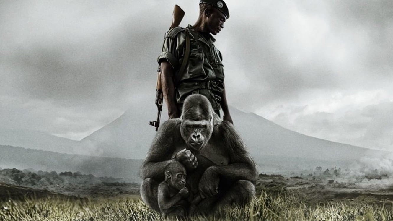 Watch film Virunga | Virunga Movie - Official Trailer