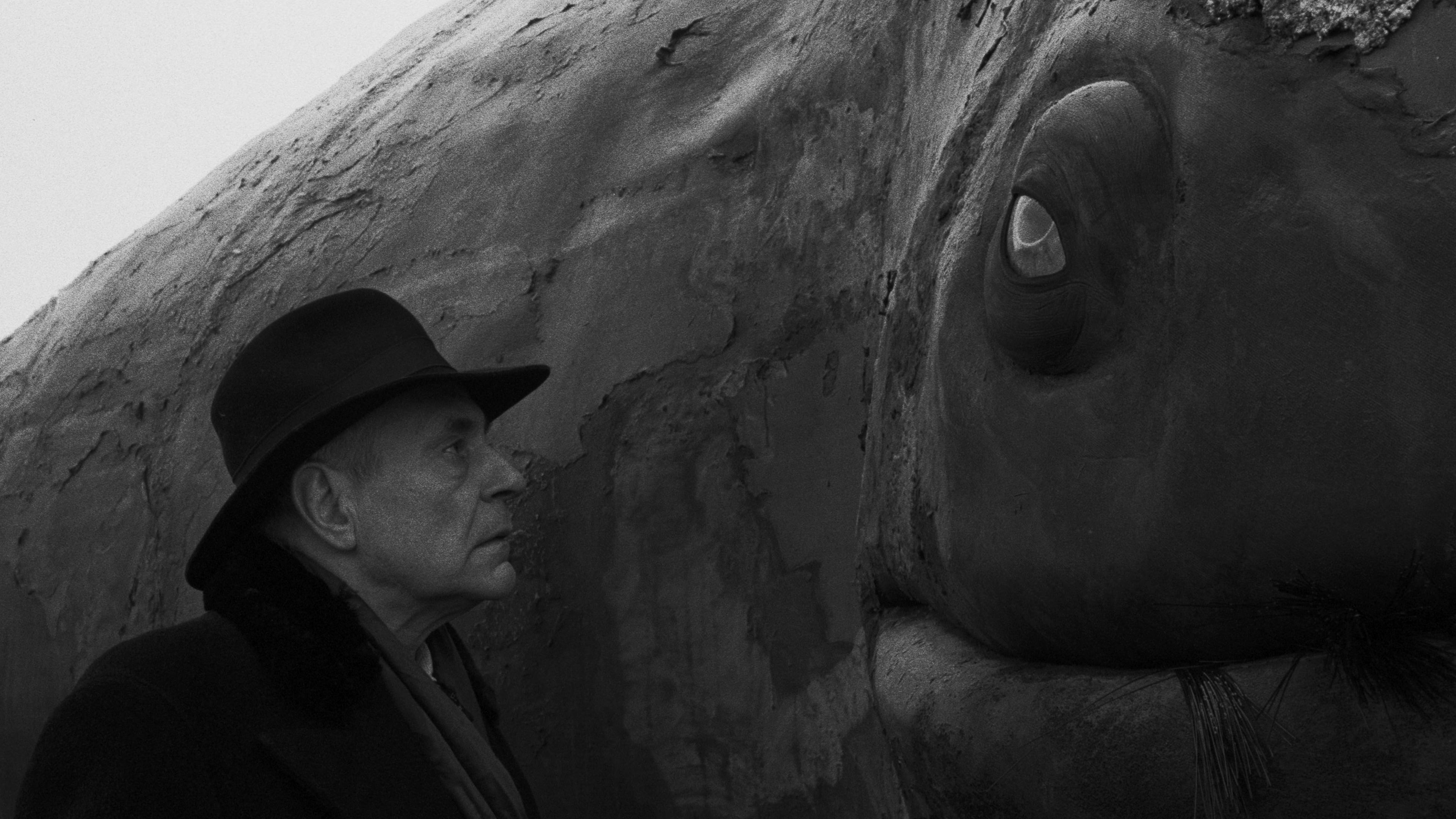 Watch film Werckmeister Harmonies | 4k Restoration Trailer