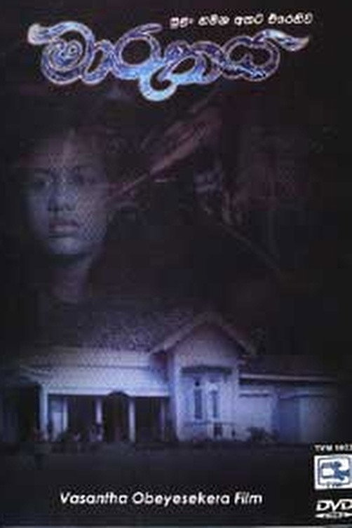 Poster to the movie "The Storm" #966687