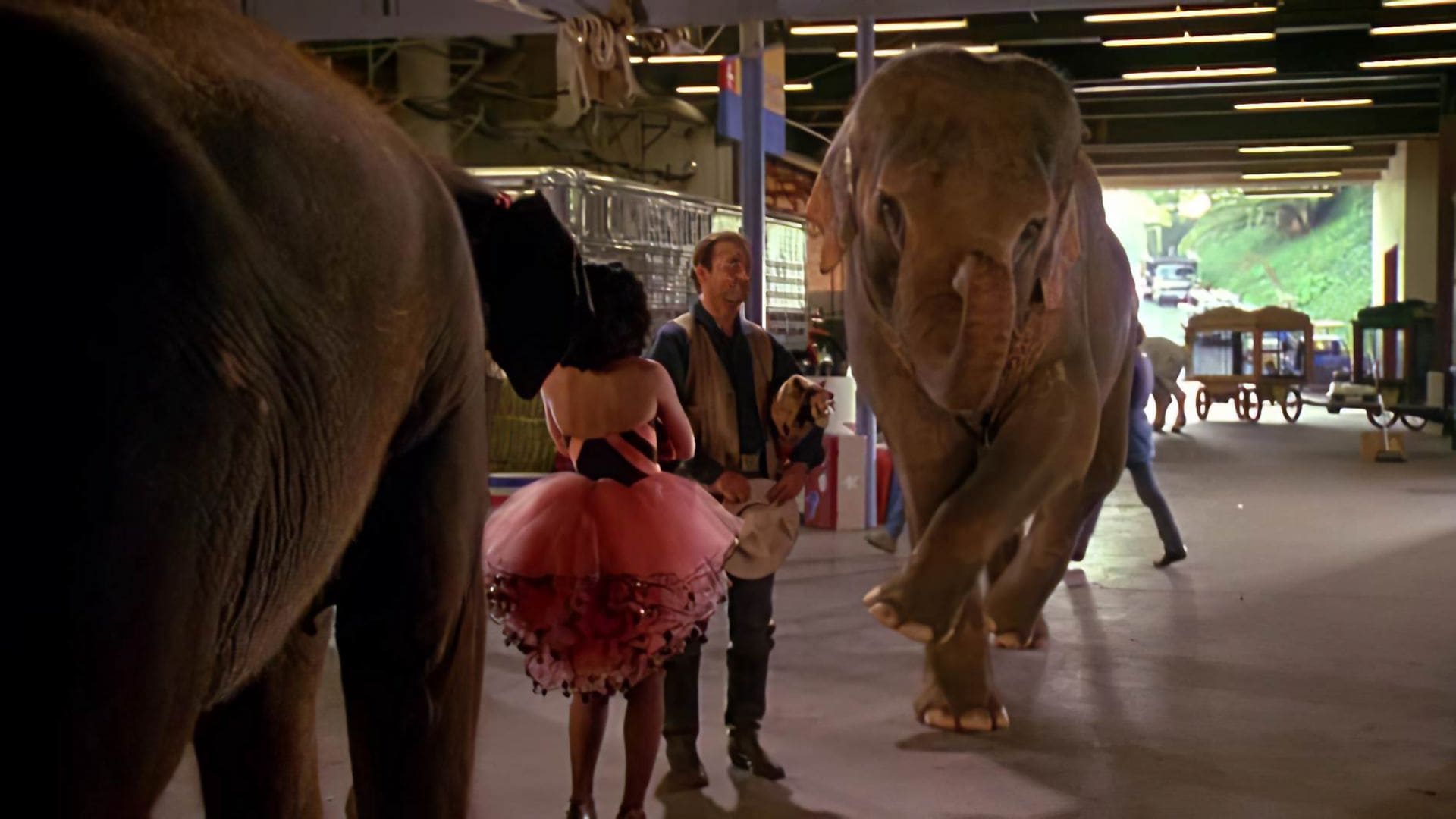 Watch film Larger Than Life | Official Trailer