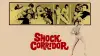 Shock Corridor