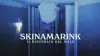 Skinamarink