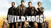 Wild Hogs