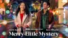 Merry Little Mystery