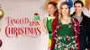 Tangled Up in Christmas