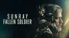 Sunray: Fallen Soldier