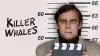 Killer Whales