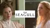 The Seagull