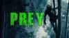 Prey