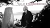 Wild Strawberries