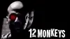 Twelve Monkeys