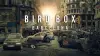 Bird Box Barcelona