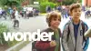 Wonder