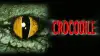 Crocodile