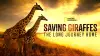 Saving Giraffes: The Long Journey Home