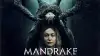 Mandrake