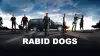 Rabid Dogs