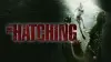 The Hatching
