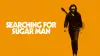 Searching for Sugar Man