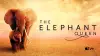 The Elephant Queen