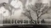Ugetsu