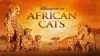 African Cats