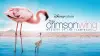 The Crimson Wing: Mystery of the Flamingos