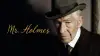 Mr. Holmes