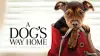 A Dog's Way Home
