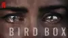 Bird Box