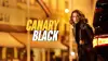 Canary Black