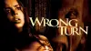 Wrong Turn